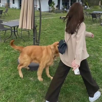 新警事之隐形兄弟
